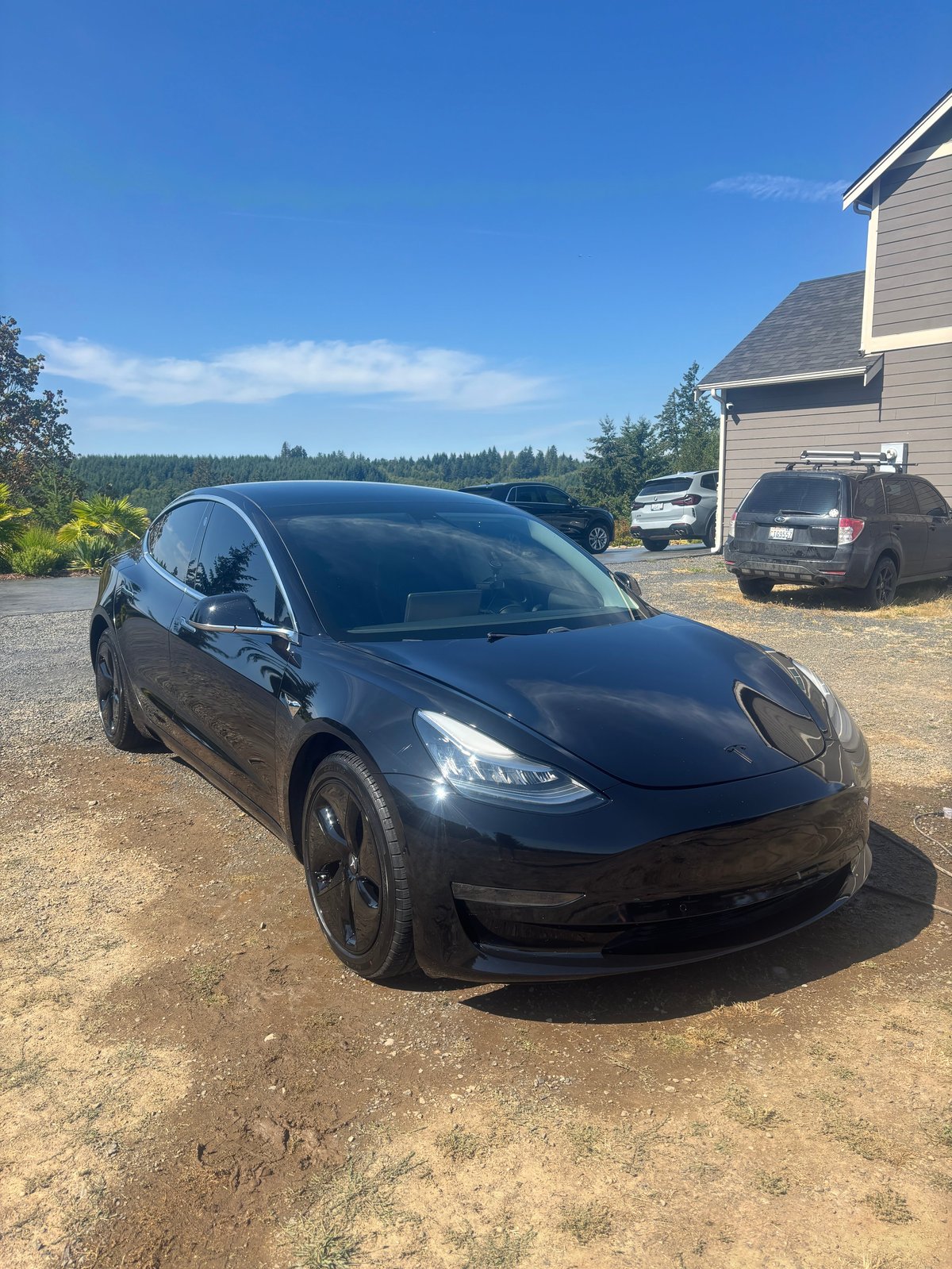 Black Tesla sedan freshly detailed and parked on a gravel driveway in front of a house with a forested background